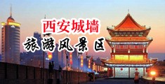骚逼爱插鸡巴视频中国陕西-西安城墙旅游风景区