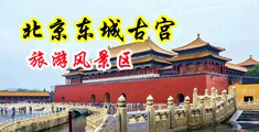 好硬啊进得太深了啊灬视频中国北京-东城古宫旅游风景区